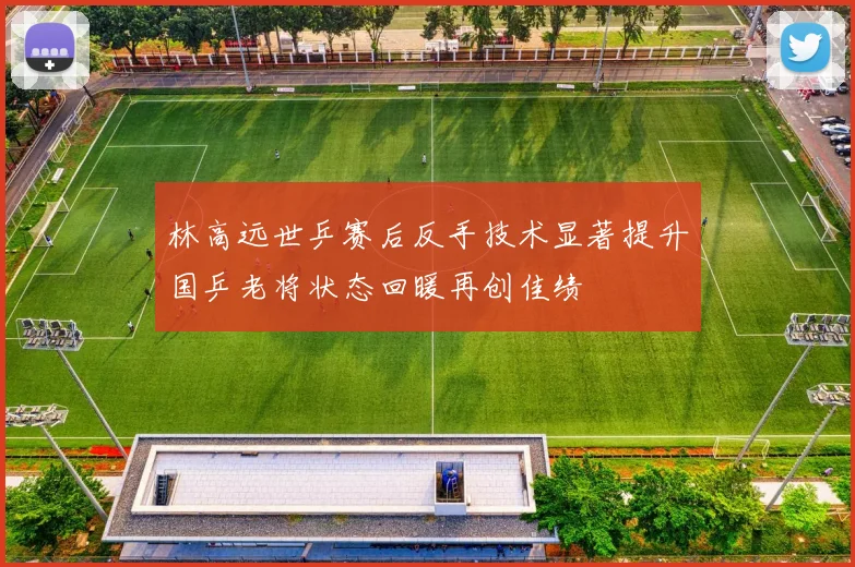 林高远世乒赛后反手技术显著提升国乒老将状态回暖再创佳绩