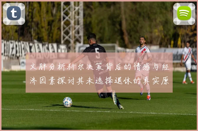 文胖分析科尔决策背后的情感与经济因素探讨其未选择退休的真实原因